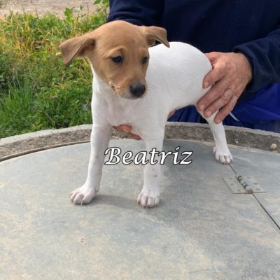 Beatriz IMG-20200301-WA0127