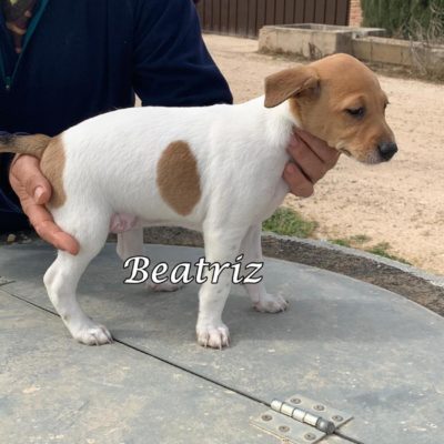 Beatriz IMG-20200301-WA0129