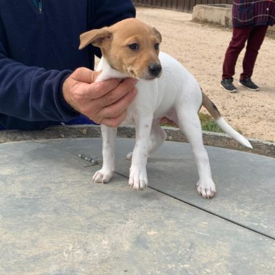 Beatriz IMG-20200301-WA0130