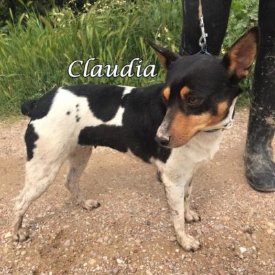 Claudia IMG-20200322-WA0093