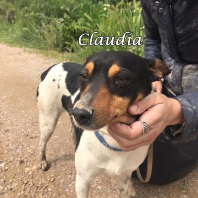 Claudia IMG-20200322-WA0095