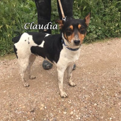 Claudia IMG-20200322-WA0171