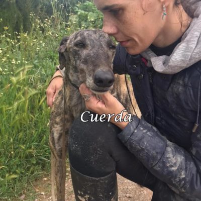 Cuerda IMG-20200322-WA0102