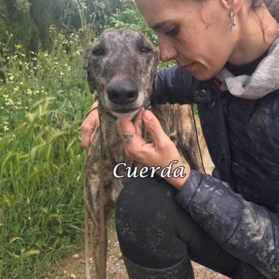 Cuerda IMG-20200322-WA0123