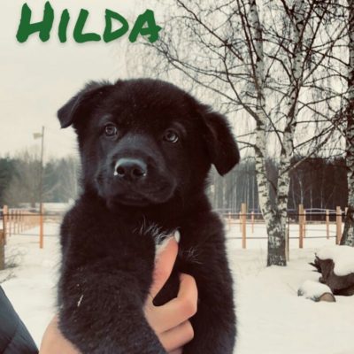 Hilda threema-20200229-155114-1898298265e342b6