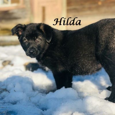 Hilda threema-20200229-155127-557f0d22d2011566