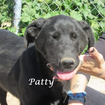 Patty IMG_5708