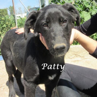 Patty IMG_5710