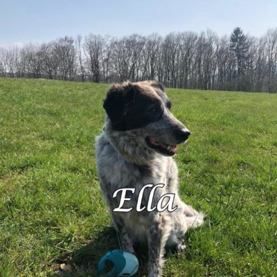 Ella IMG-20200406-WA0023