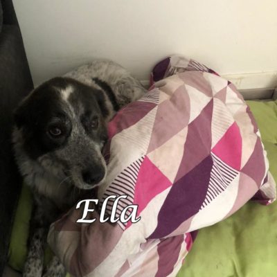 Ella IMG-20200406-WA0025