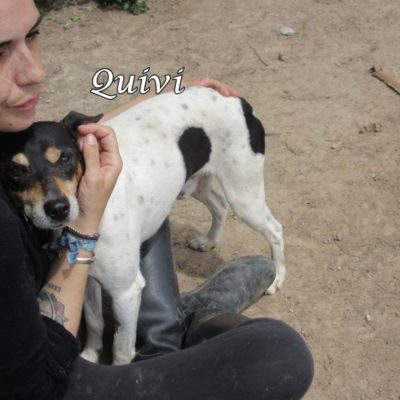 Quivi IMG_6251