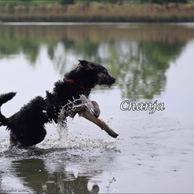 Chanja IMG-20200511-WA0069