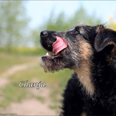 Chanja IMG-20200511-WA0071