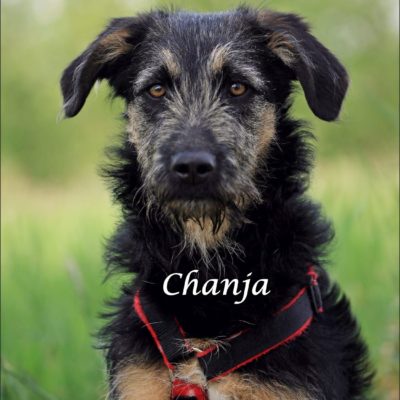 Chanja IMG-20200511-WA0075