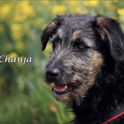 Chanja IMG-20200511-WA0082