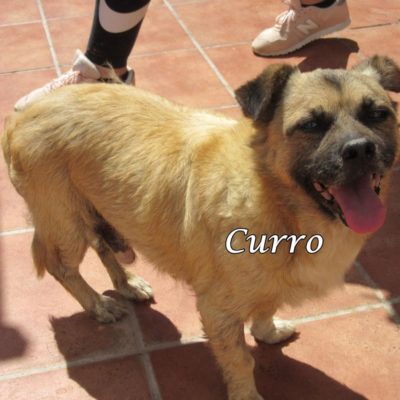 Curro IMG_7175