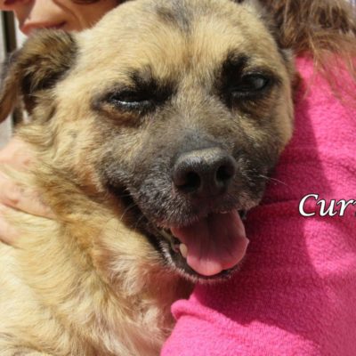 Curro IMG_7209