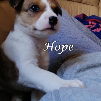 Hope IMG-20200519-WA0024