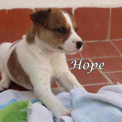Hope IMG-20200519-WA0035