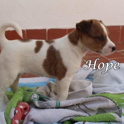 Hope IMG-20200519-WA0036