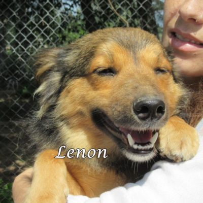 Lenon IMG_6445