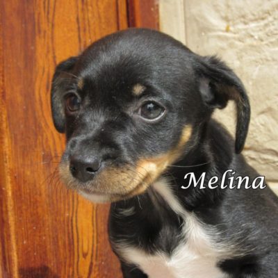 Melina IMG_6344