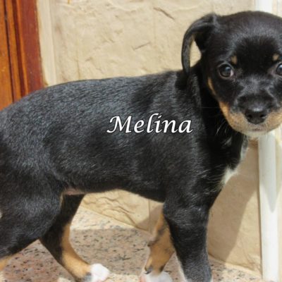 Melina IMG_6346