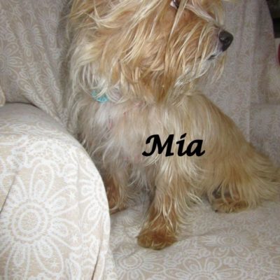 Mia IMG_7073