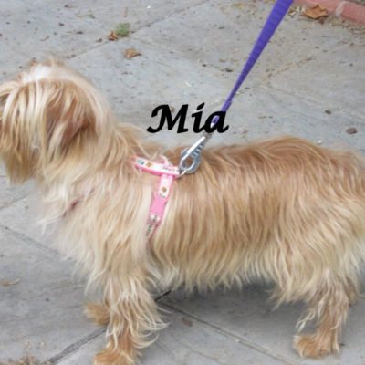 Mia IMG_7106