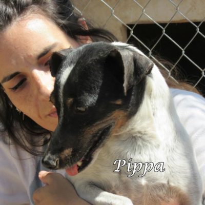 Pippa IMG_6463