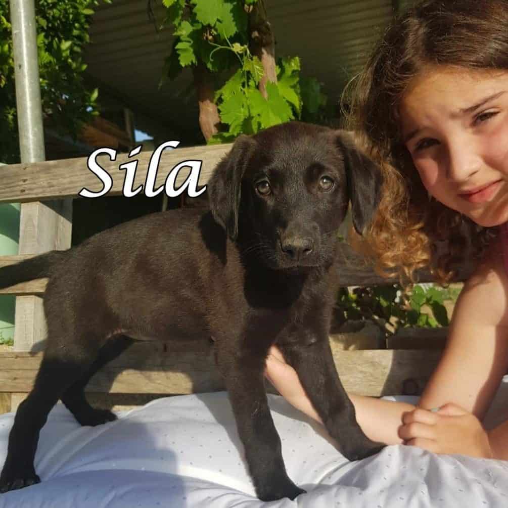 Sila IMG-20200509-WA0115