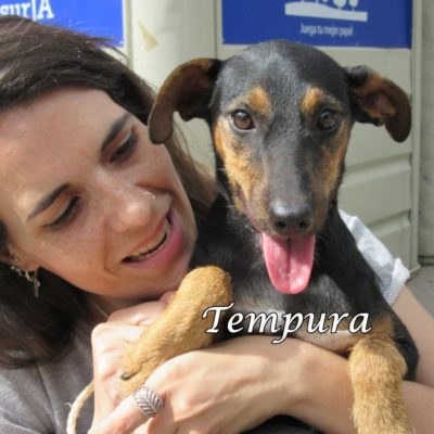 Tempura IMG_6922