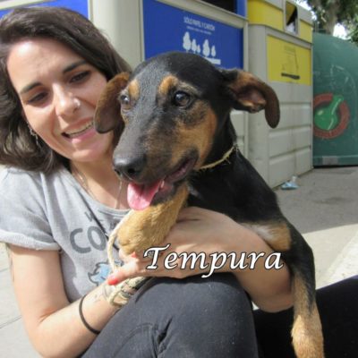Tempura IMG_6926