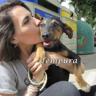 Tempura IMG_6927