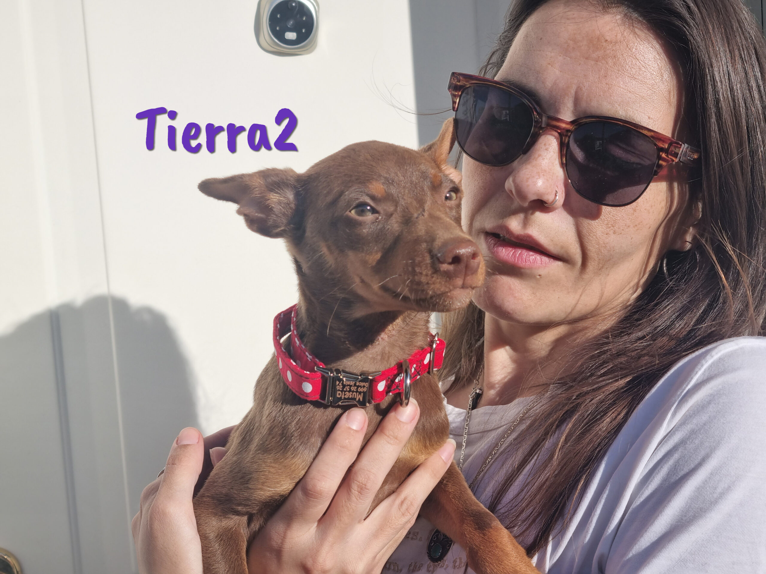 Tierra2 » Tierschutzverein SOS-Dogs e.V.