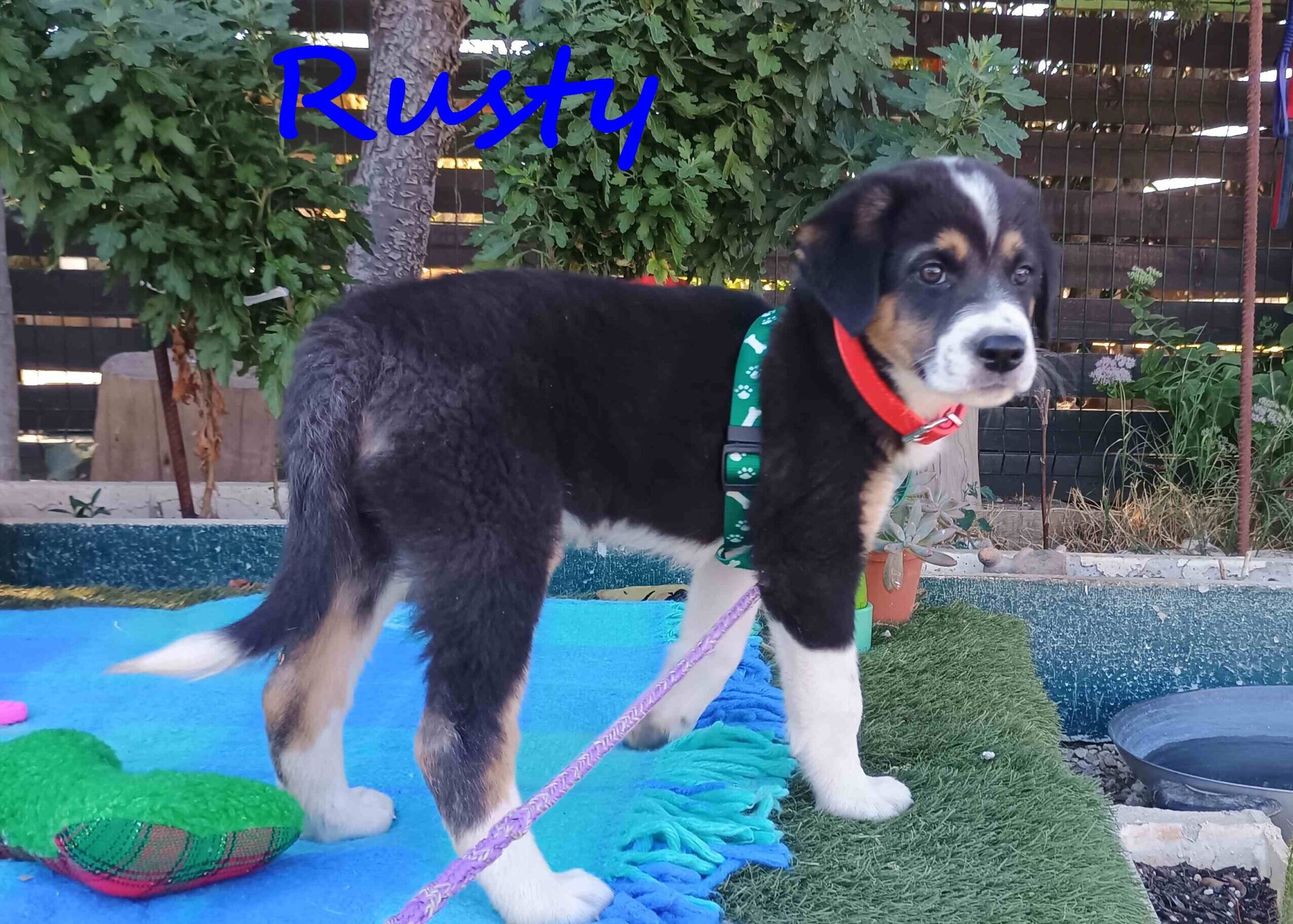 hundebett couch Flauschiges Hundebett für dein Sofa – Komfort & Schutz entdecken