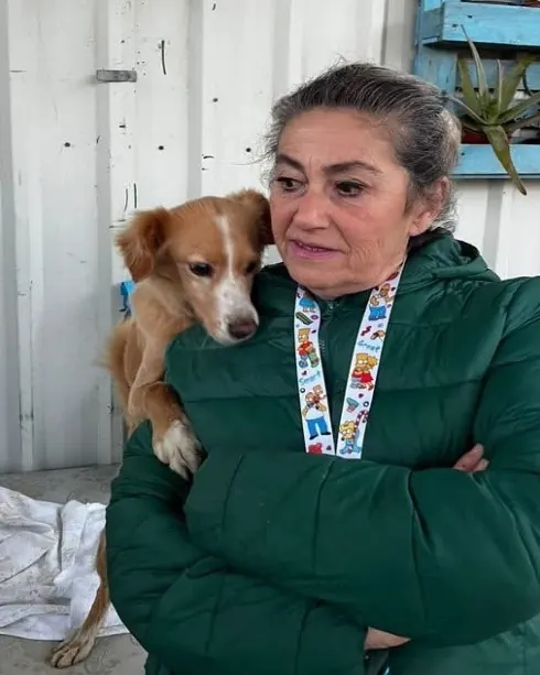 Helferin trägt einen geretteten Hund auf dem Arm