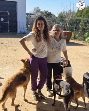 Zwei Helferinnen mit mehreren Hunden auf dem Gelände
