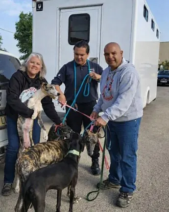 Übergabe geretteter Hunde vor einem Transportanhänger